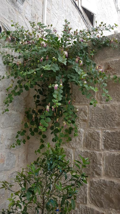 Moretti Gasthof Trogir